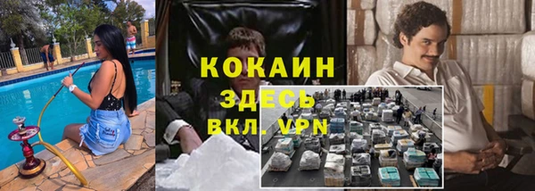 гидропоника Алзамай